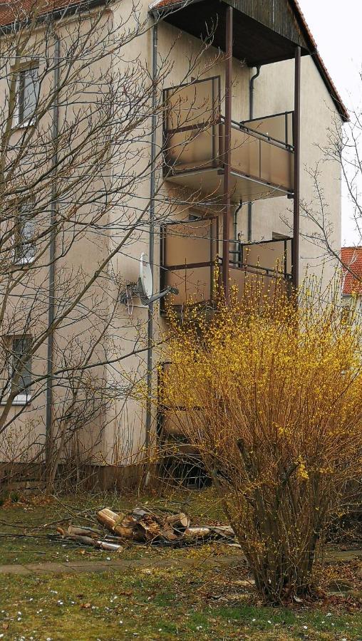Apartment Am Suedpark مرسيبورغ المظهر الخارجي الصورة